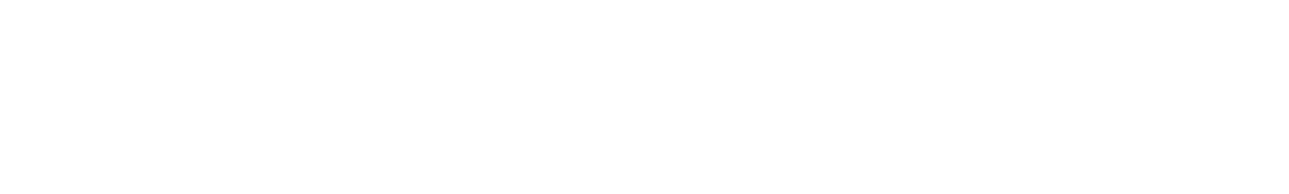 logo-blanc-SLN-agence-marketing-digital